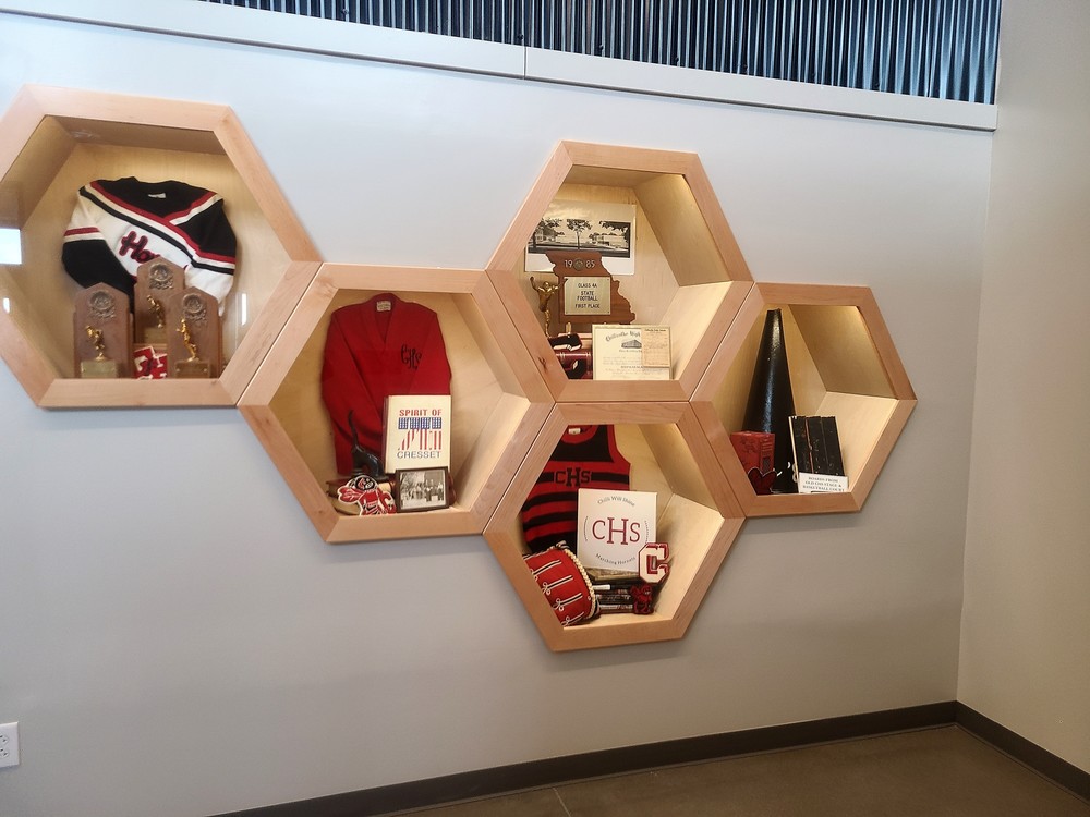 Hornet Hives