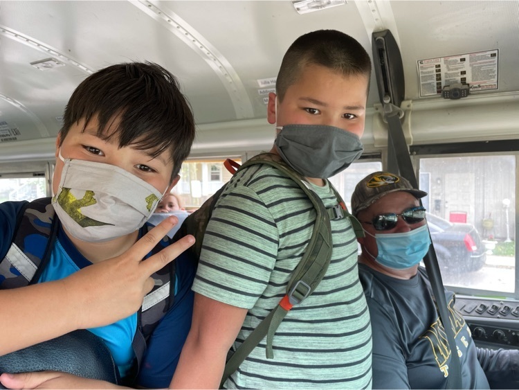 bus 6