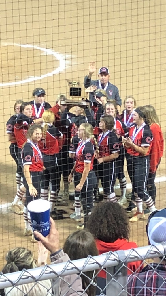 Second in State- Lady Hornets Softball