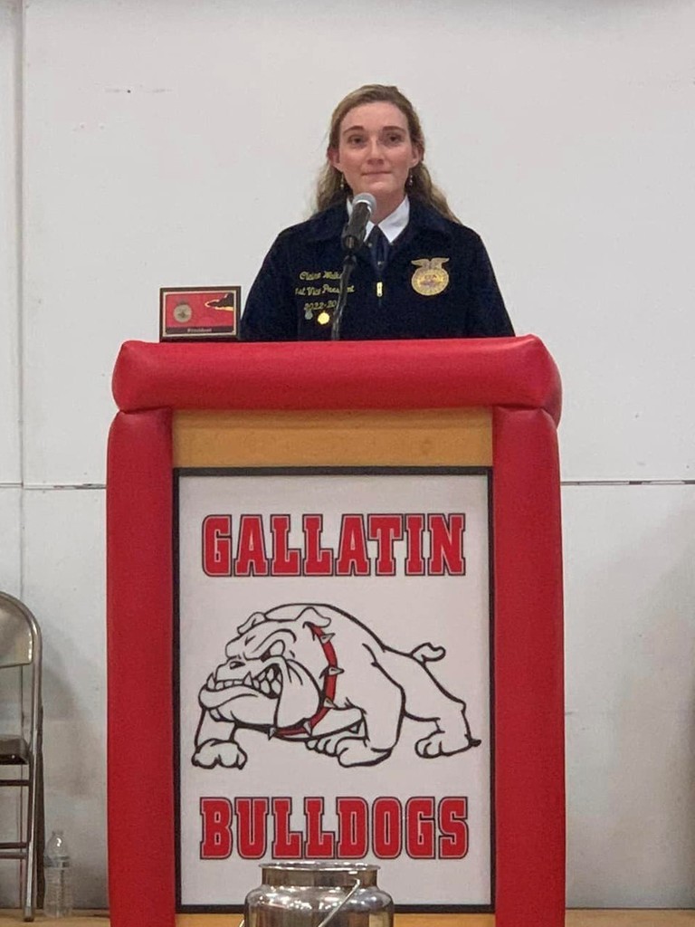 Claire Walker, Area II 1st Vice President at the podium