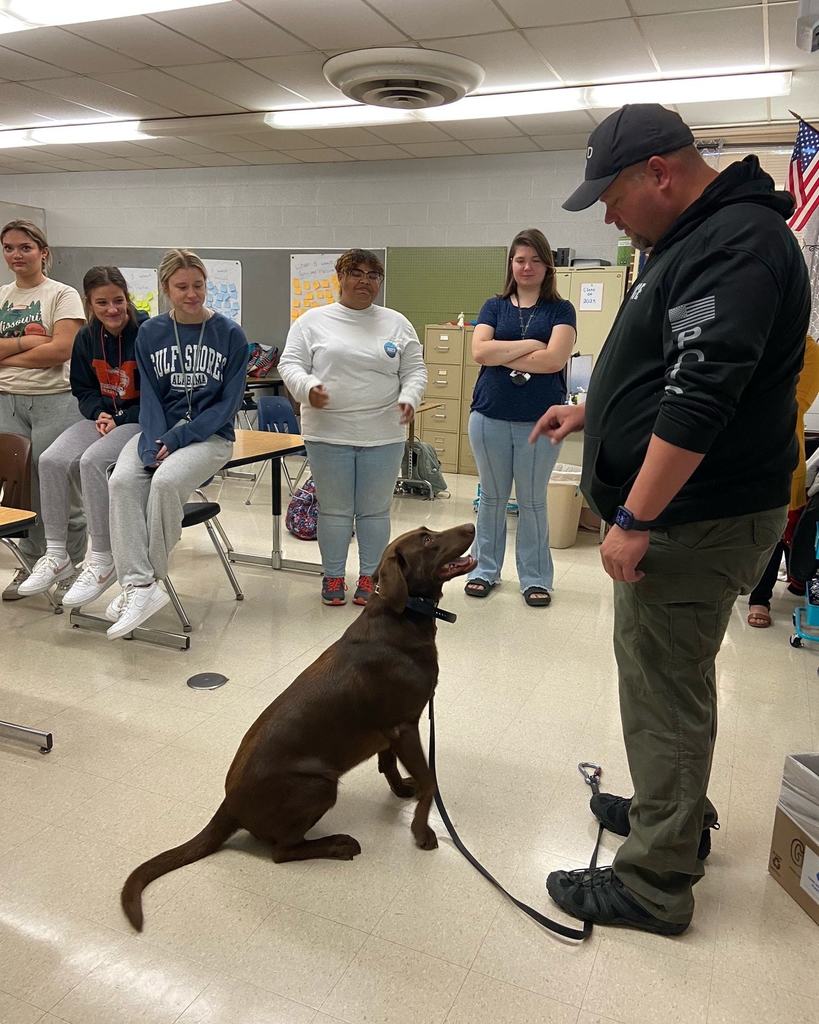 handler has police dog sit for class