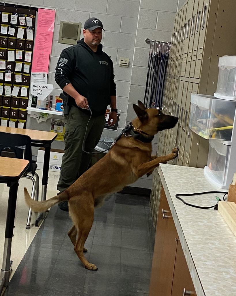 police dog is searching for contraband