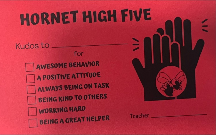 Hornet High Five